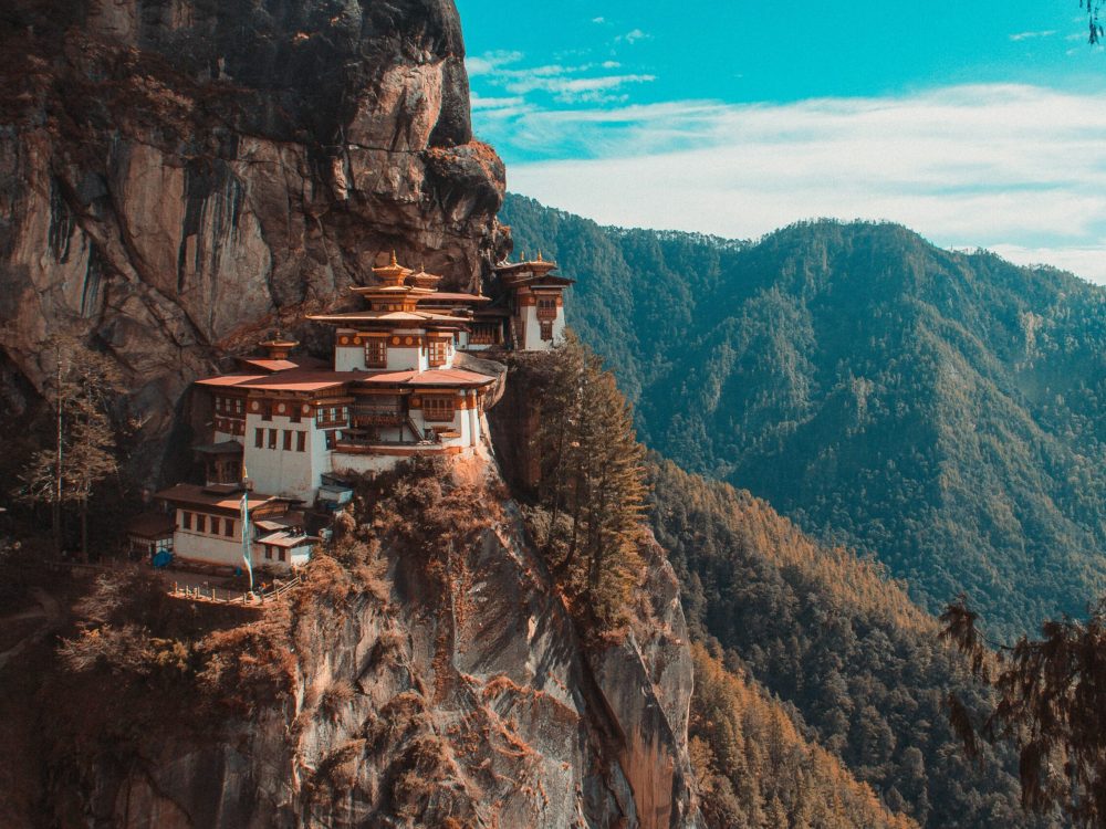 aaron-santelices-ZdwVvRdel8A-unsplash