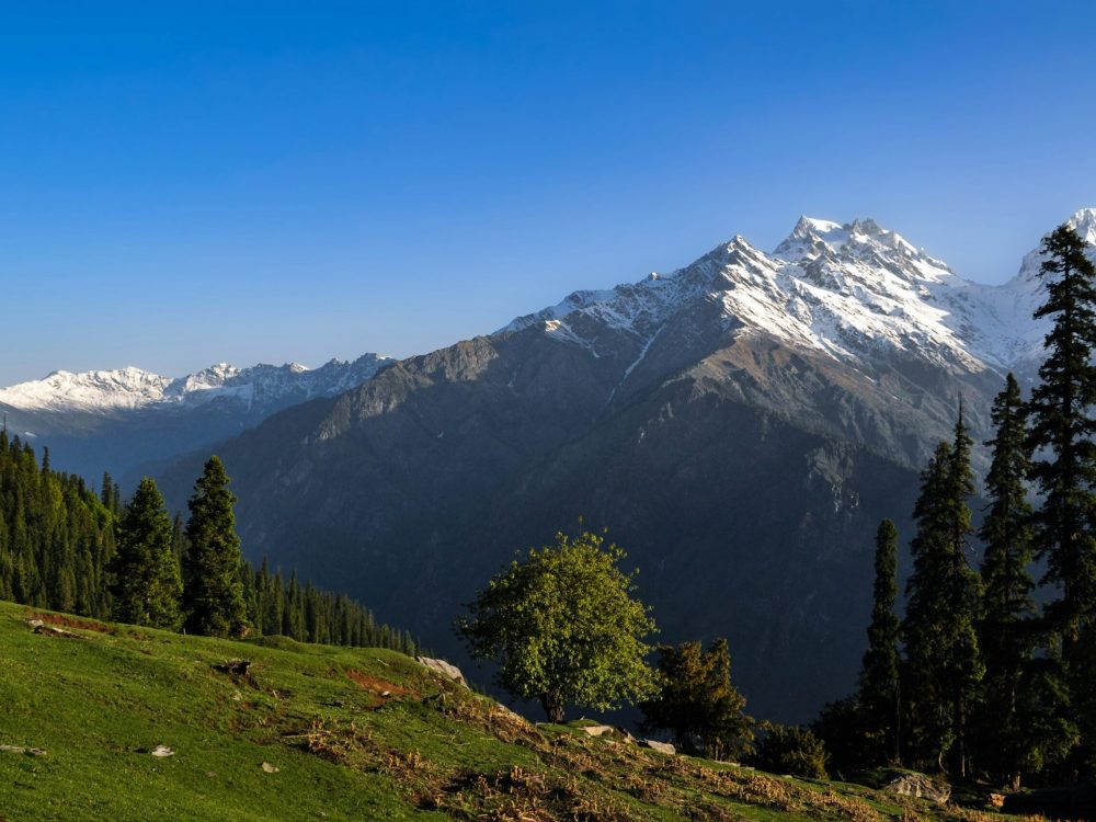 amlan-saha-kundu-t6mBids3T4k-unsplash
