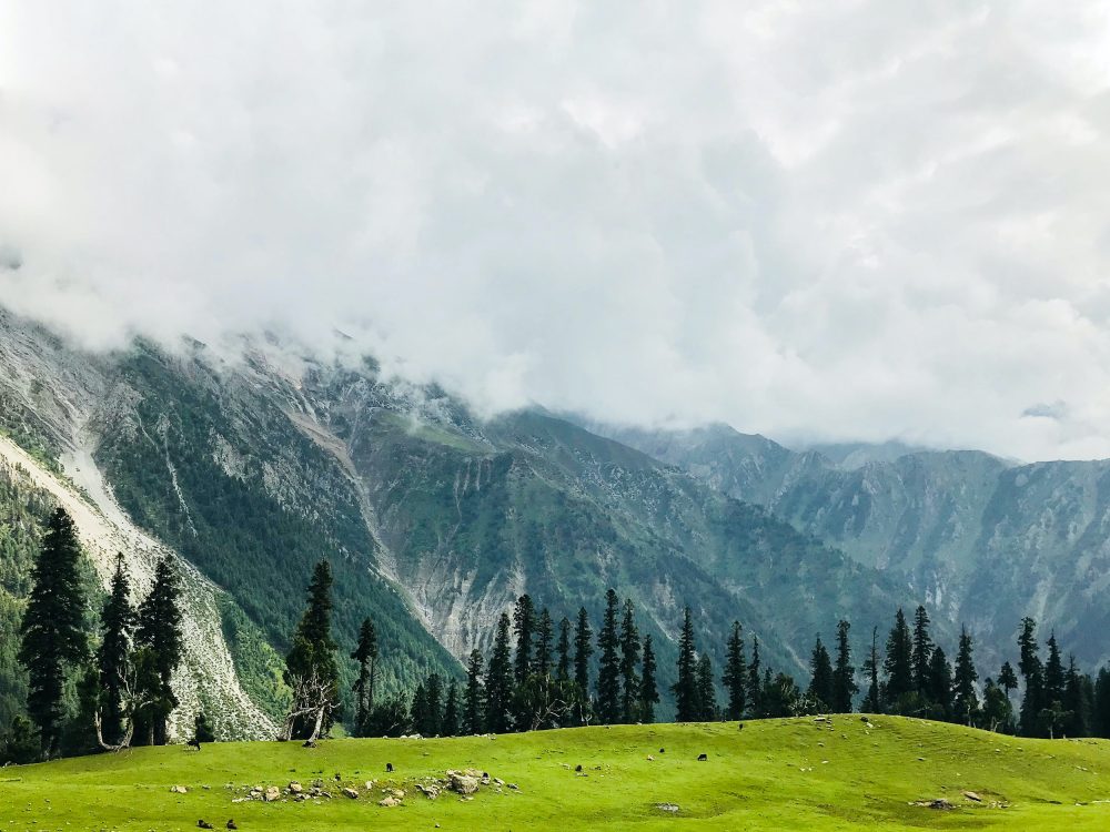 bhavesh-sawant-0Qwks3FIeQc-unsplash