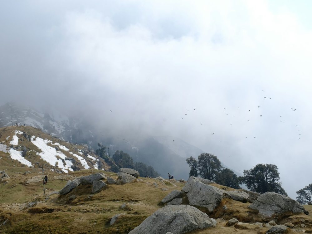 dharamkot-studio-INI_9otEirg-unsplash