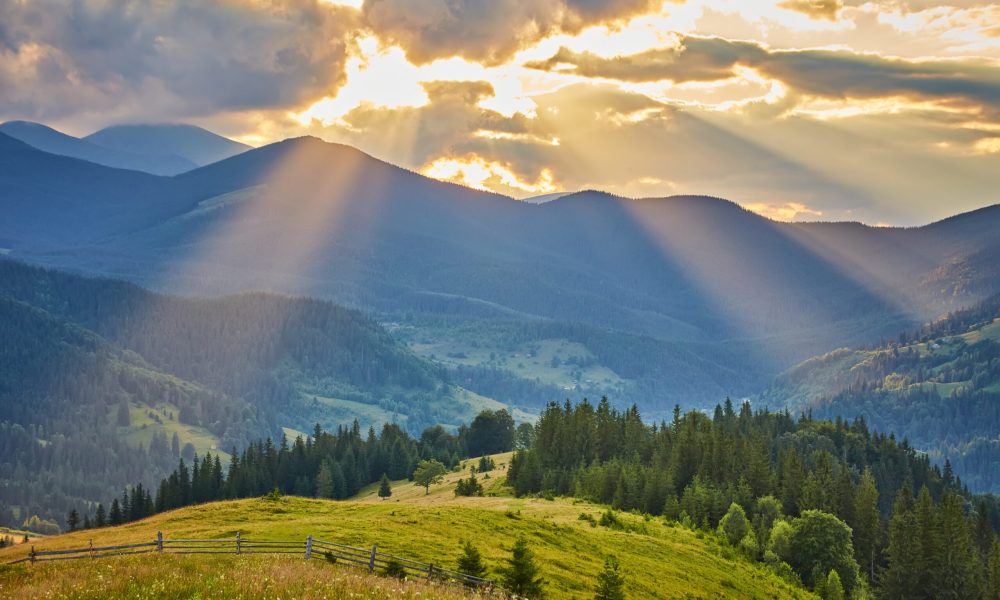 Landscape with pine forests in the mountains in summer