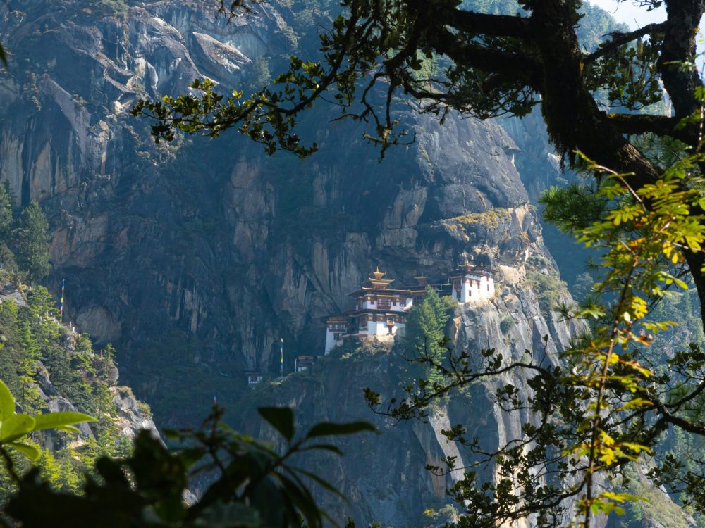ugyen-tenzin-2ZX-Jb8fNnY-unsplash